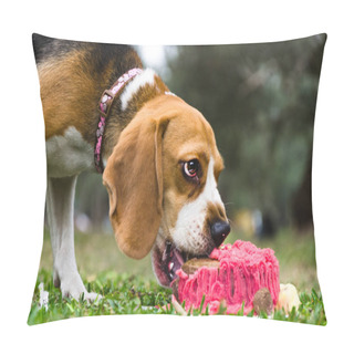 Personality  Dog Celebrates Birthday With Themed Cake In The Park Pillow Covers