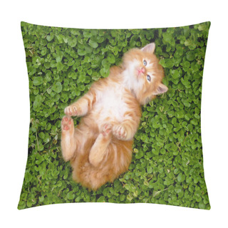 Personality  Tiny Red Kitten Outdoors Portrait Pillow Covers