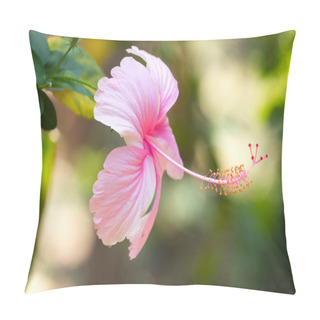 Personality  Macro Photo Oh Hibiscus Plant. Purple And Pink Color Pillow Covers