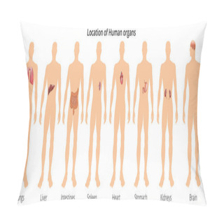 Personality  8 Human Body Organ Systems Realistic Educative Anatomy Physiology Front Back View Flashcards Poster Vector Illustration Pillow Covers