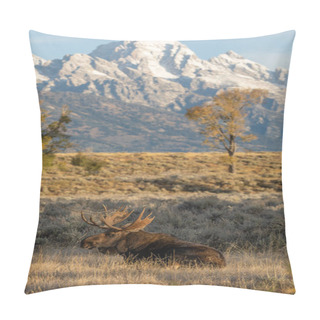 Personality  A Bull Shiras Moose During The Fall Rut In Wyoming Pillow Covers