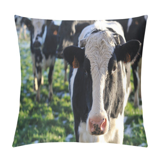 Personality Cow Pillow Covers