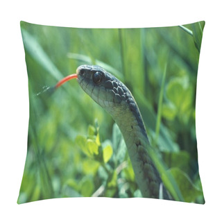 Personality  Close-Up Of Eastern Garter Snake In Grass Pillow Covers