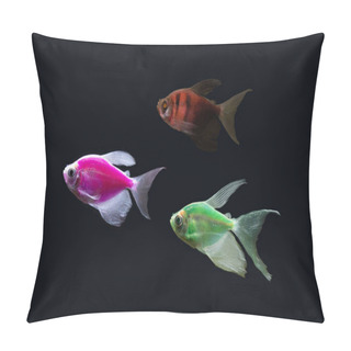 Personality  Three Tetra Glo Fish On Dark Background, Different Bright Colors  Pillow Covers
