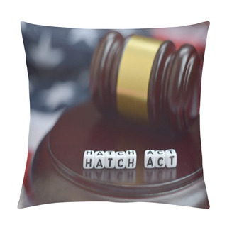 Personality  Justice Mallet And Hatch Act Characters Close Up With US Flag On Background Pillow Covers