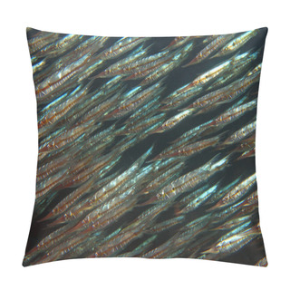 Personality  Shoal Of Razorfish Pillow Covers