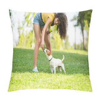 Personality  Selective Focus Of Young Woman Touching Dog And Holding Tennis Ball Pillow Covers