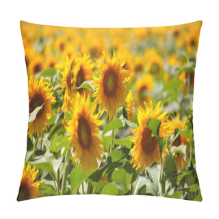 Personality  Sunflower Pillow Covers