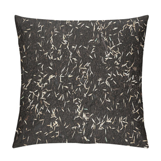 Personality  Grass Seeds In Soil Pillow Covers