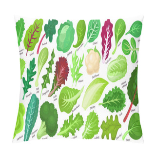 Personality  Lettuce And Salad Cartoon Vector Set Of Icon.Cartoon Vector Set Illustration Leaf Of Lettuce. Isolated Illustration Collection Leaf Of Salad Icon. Pillow Covers