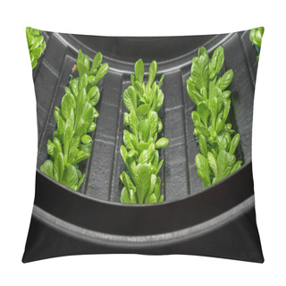 Personality  Vertical Farm Pillow Covers