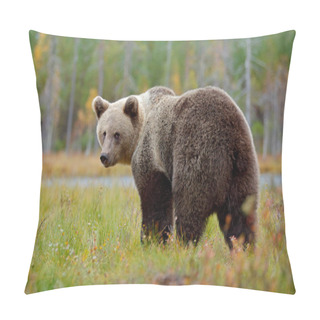 Personality  Big Brown Bear Pillow Covers
