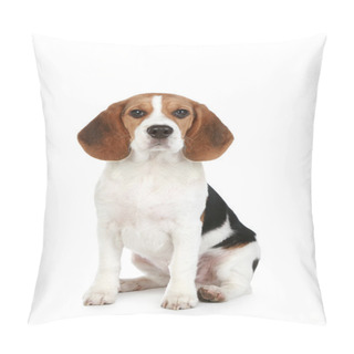 Personality  Beagle Puppy Pillow Covers