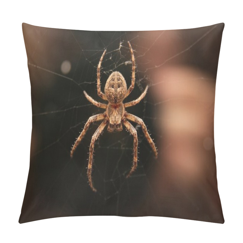 Personality  Spider pillow covers