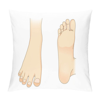 Personality  Foot Vector In Side View And Bottom Of Foot  Pillow Covers