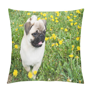 Personality  Puppy Of The Pug Pillow Covers