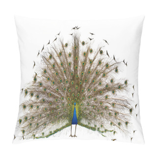 Personality  Male Indian Peafowl Walking In Front Of White Background Pillow Covers
