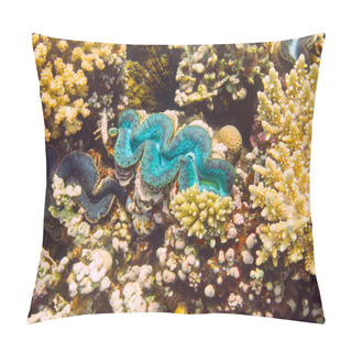 Personality  Blue Giant Clam, Red Sea, Egypt Pillow Covers