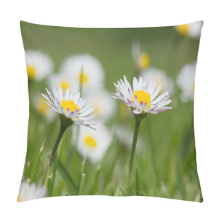 Personality  Common Daisy In Grass Pillow Covers