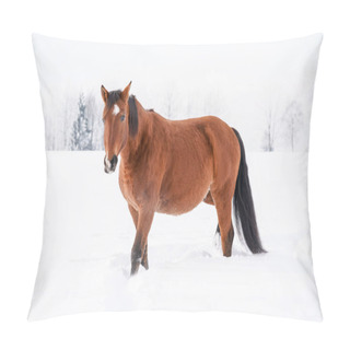 Personality  Brown Horse On Snow, Field, Blurred Trees Behind Her. Pillow Covers