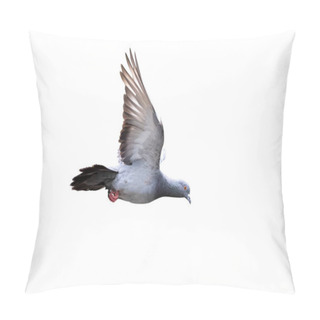 Personality  Movement Scene Of Rock Pigeon Flying In The Air Isolated On White Background With Clipping Path Pillow Covers