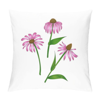 Personality  Echinacea Purpurea Pillow Covers