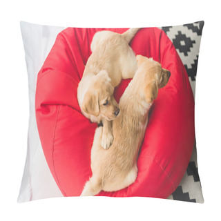 Personality  Top View Of Two Beige Puppies Sitting On Red Bag Chair Pillow Covers