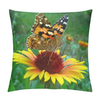 Personality  Butterfly. Pillow Covers