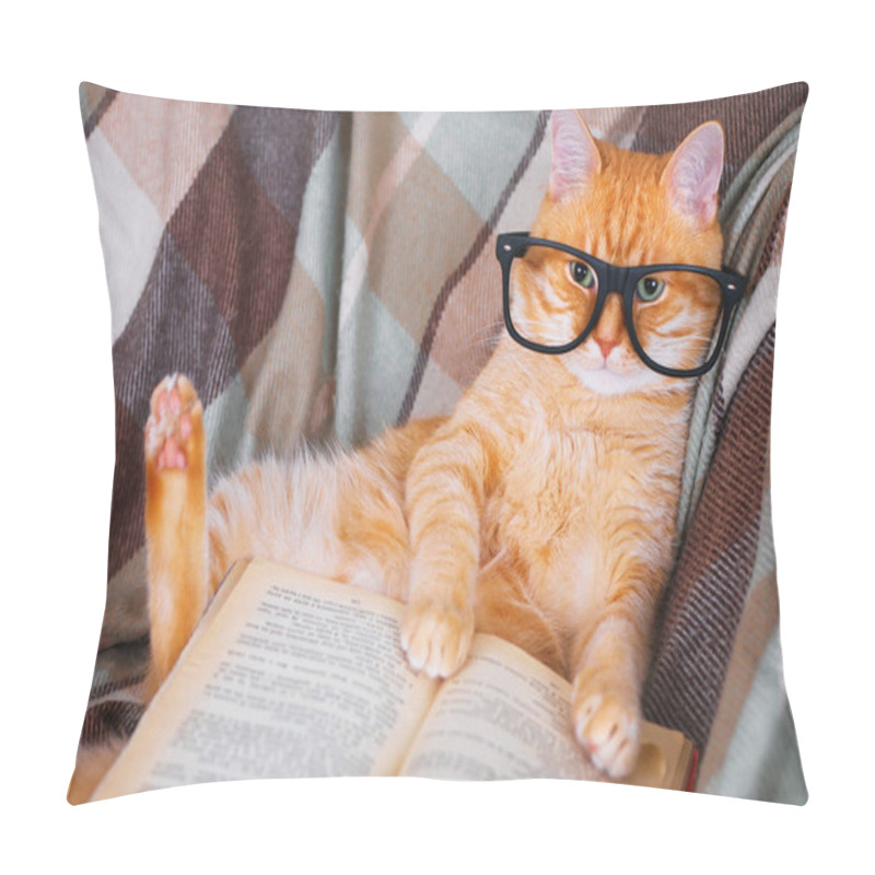Personality  Red cat in glasses lying on sofa with book pillow covers
