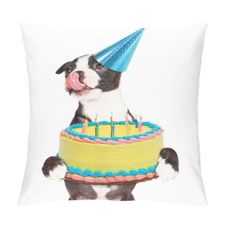 Personality  Birthday Puppy Holding Cake Pillow Covers