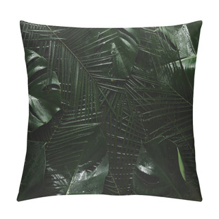 Personality  Top View Of Beautiful Green Wet Leaves, Tropical Background Pillow Covers