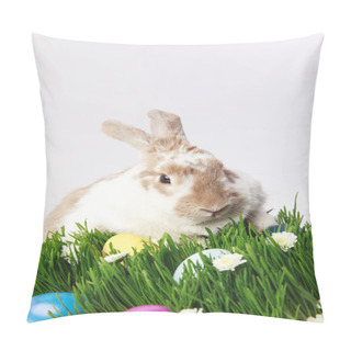 Personality  Rabbit On Grass With Camomiles And Painted Eggs, Easter Concept Pillow Covers