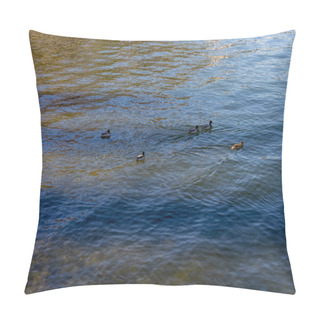 Personality  Europe, Italy, Bellagio, Lake Como, A Flock Of Seagulls Are Swimming In A Body Of Water Pillow Covers