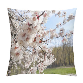 Personality  View Of Cherry Branches With White Blooming Flowers In Spring Park  Pillow Covers