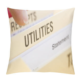 Personality  Files Containing Utility Bills Pillow Covers