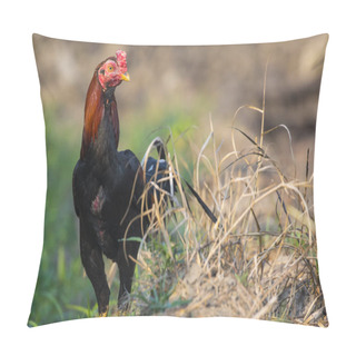 Personality  Image Of Rooster In Green Field. Farm Animals. Pillow Covers