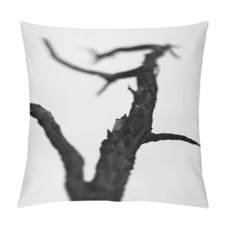 Personality  A Closeup Greyscale Shot Of A Leafless Tree Branch On A Blurred Background Pillow Covers