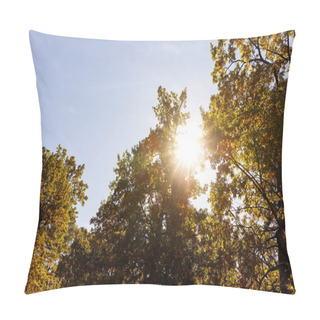 Personality  Sun, Trees With Yellow And Green Leaves In Autumnal Park At Day  Pillow Covers