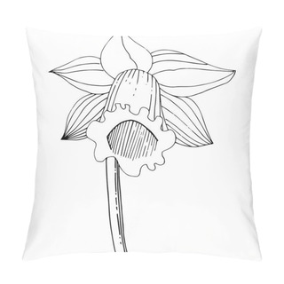 Personality  Vector Narcissus Flower. Floral Botanical Flower. Black And White Engraved Ink Art. Isolated Narcissus Illustration Element On White Background. Pillow Covers