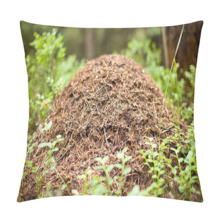 Personality  Big Anthill With Colony Of Ants Pillow Covers