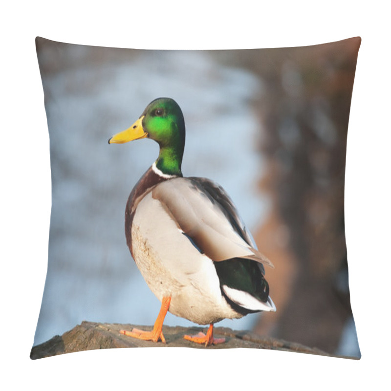 Personality  Duck in the pond pillow covers