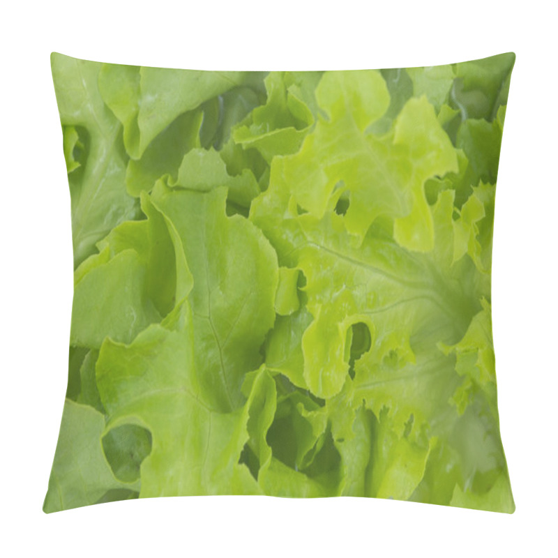 Personality  Green Oak Lettuce Template Background Pillow Covers