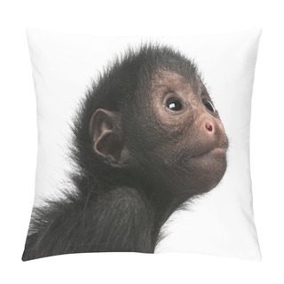 Personality  Red-faced Spider Monkey, Ateles Paniscus, 3 Months Old, Hanging On Rope In Front Of White Background Pillow Covers