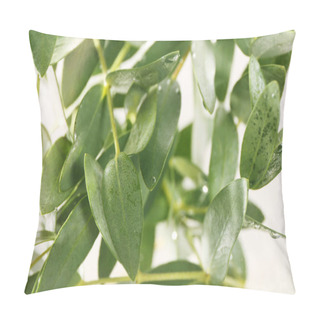 Personality  Green Eucalyptus Branche Pillow Covers