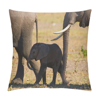 Personality  Two Adult Elephants With Cube Pillow Covers