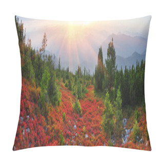 Personality  Autumn Landscape In Carpathian Mountains Pillow Covers
