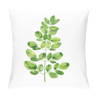 Personality  Moringa Branch. Tropical Tree Foliage. Botanical Art. Watercolour Illustration Isolated On White Background.  Pillow Covers