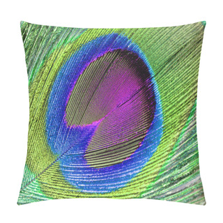 Personality  Peacock Feather, Macro Shot Pillow Covers