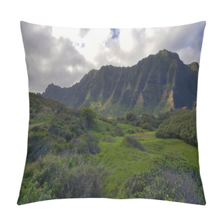 Personality  Windward Oahu, Hawaii Is One Of The Most Beautiful Places In The World For A Horseback Ride. Pillow Covers
