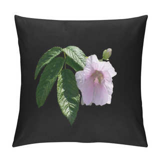 Personality  Pink Rose Mallow Flower Pillow Covers